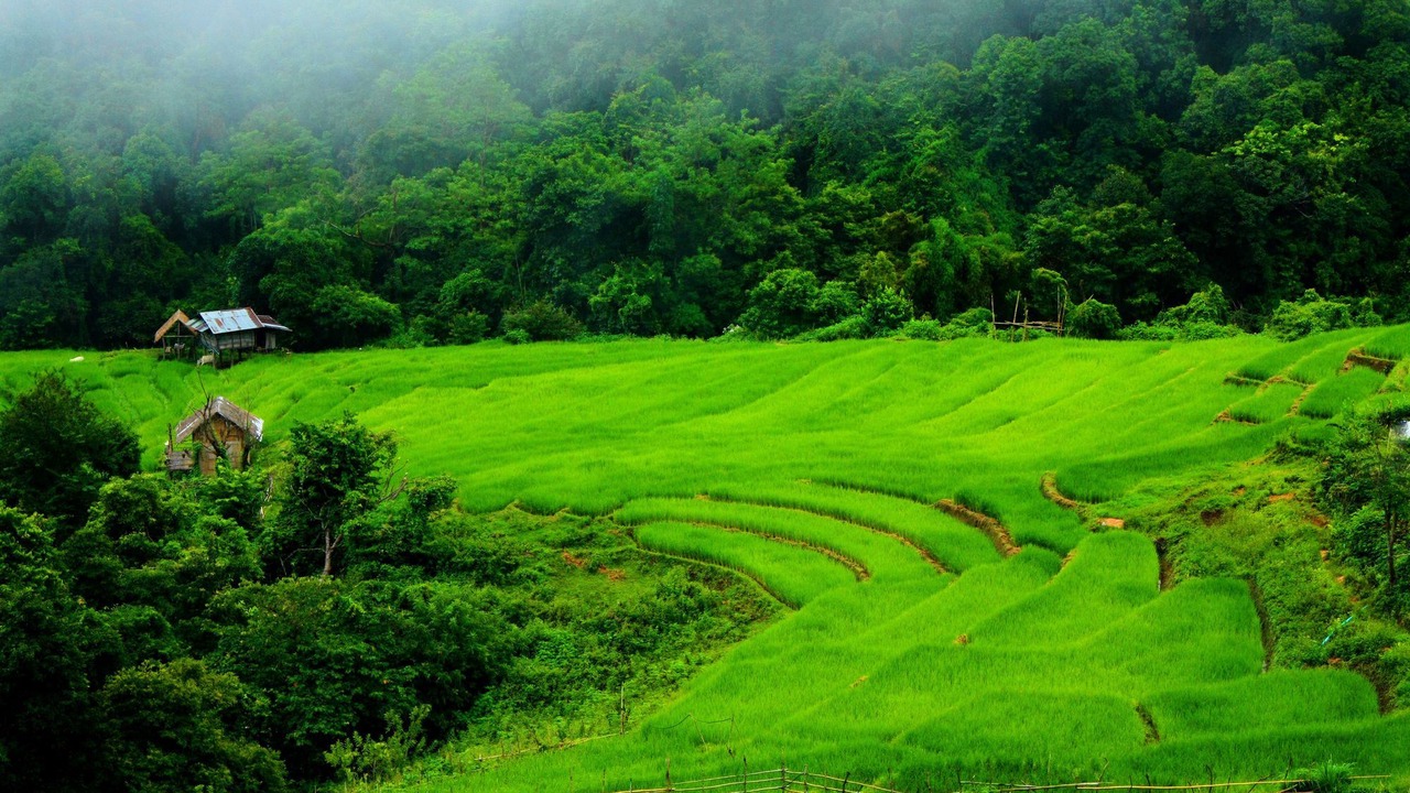 Photo of Outdoor in Ban Luang
