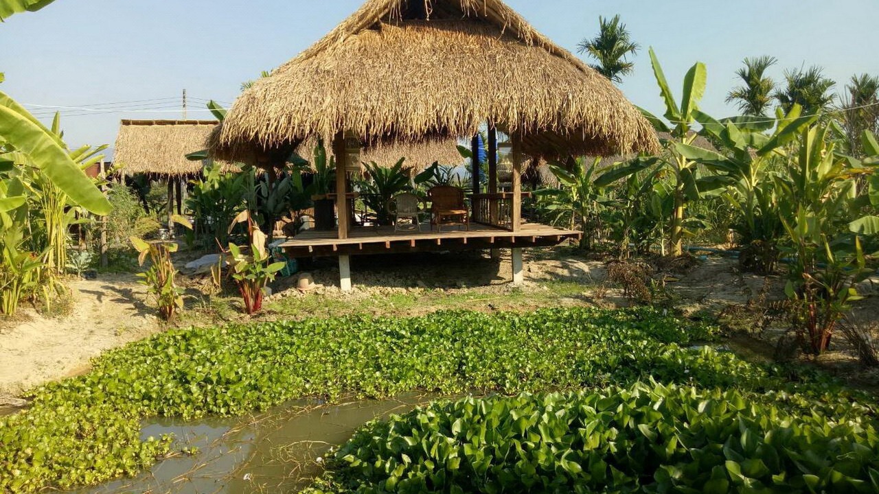 Photo of Others in Phrao