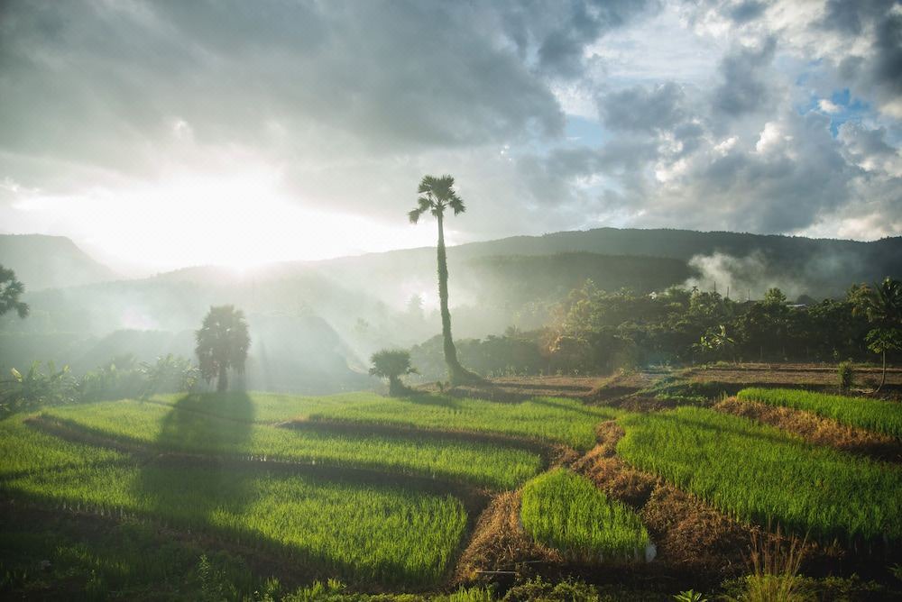 Photo of Outdoor in Ban Luang