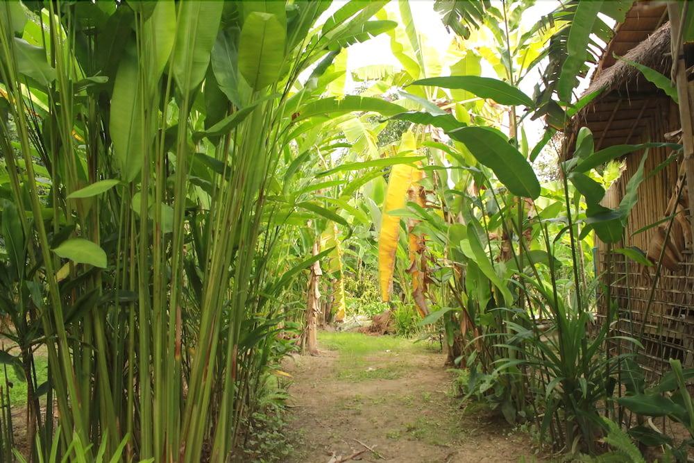 Photo of Outdoor in Phrao