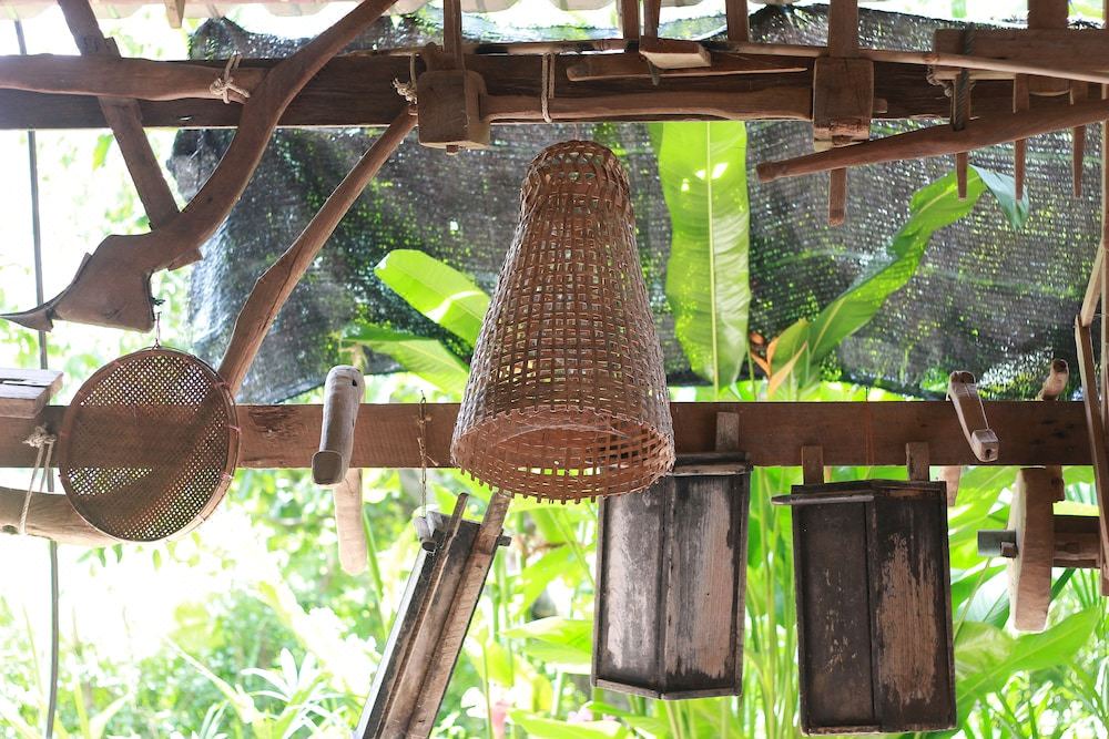 Photo of Others in Phrao