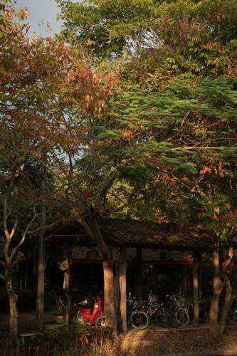Photo of Others in Chiang Dao