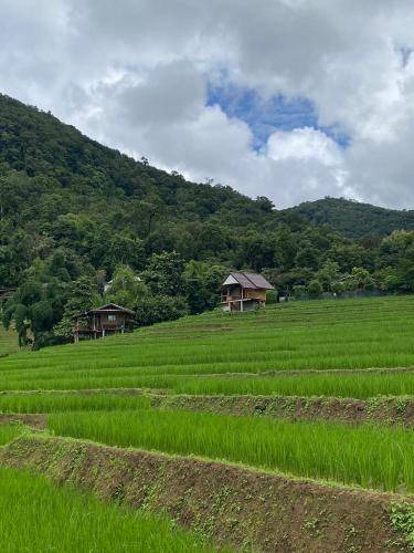 Photo of Others in Mae Chaem