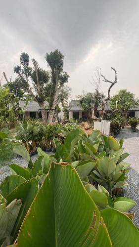 Photo of Others in Trat