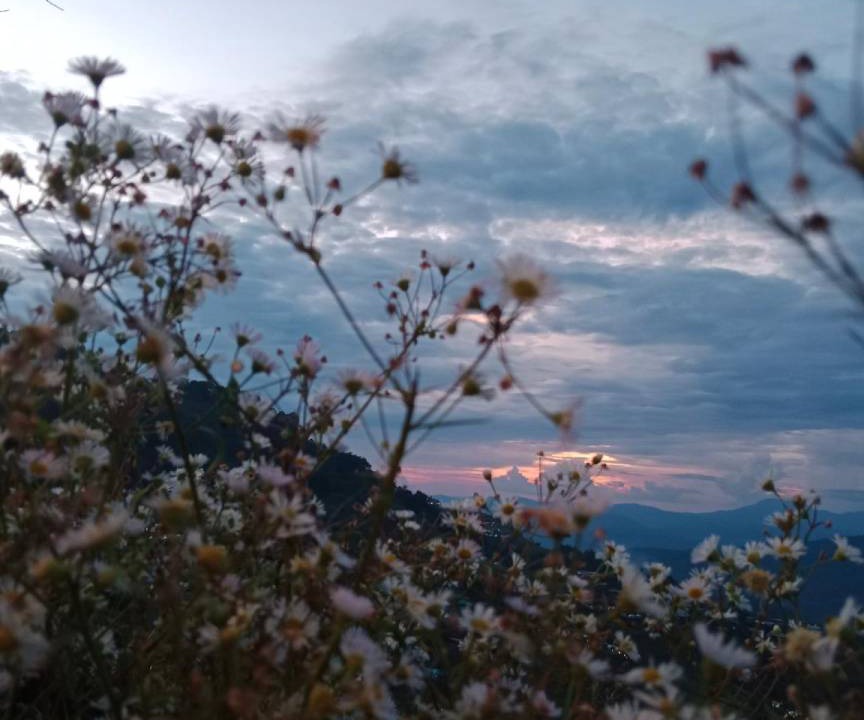 Photo of Outdoor in Mae Rim