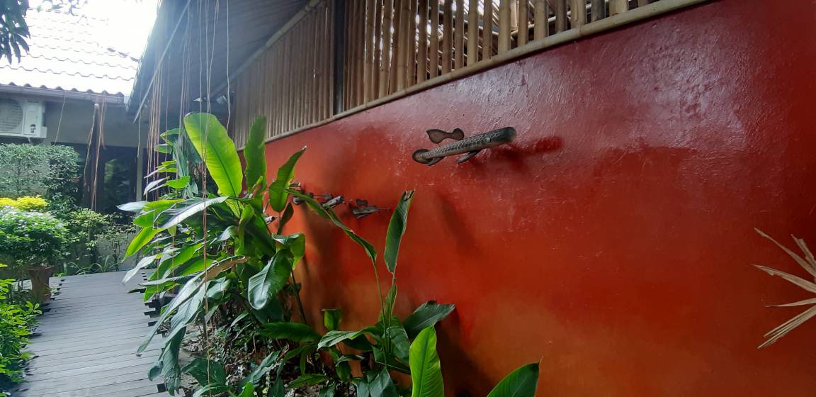 Photo of Others in Ko Lanta