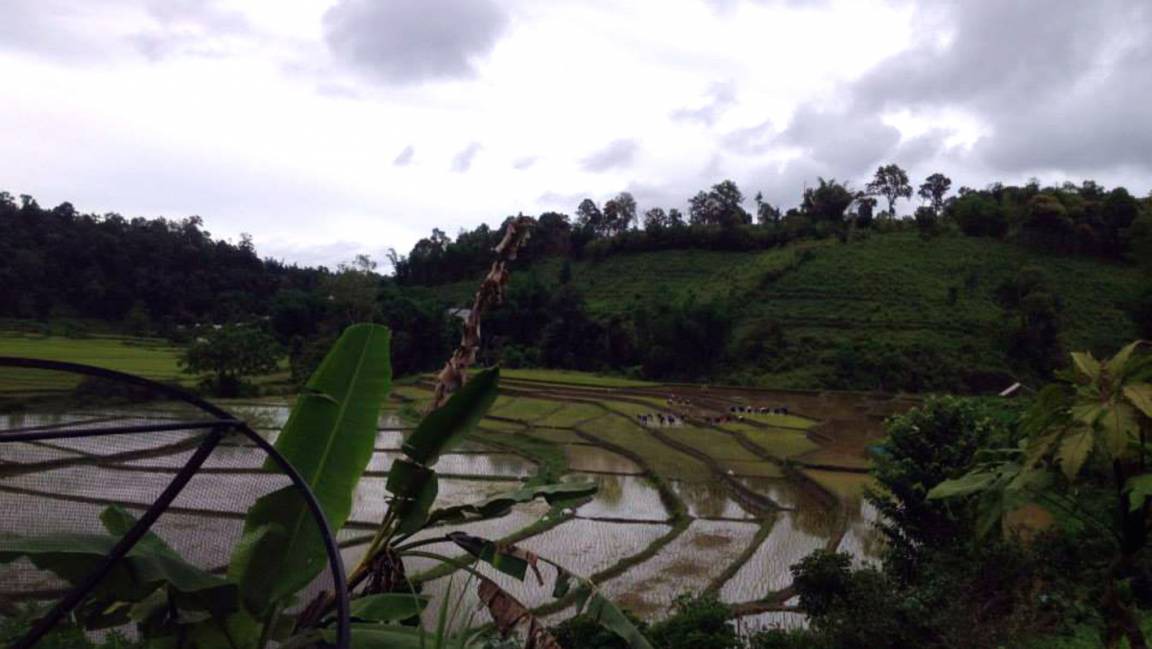 Photo of Others in Mae Wang