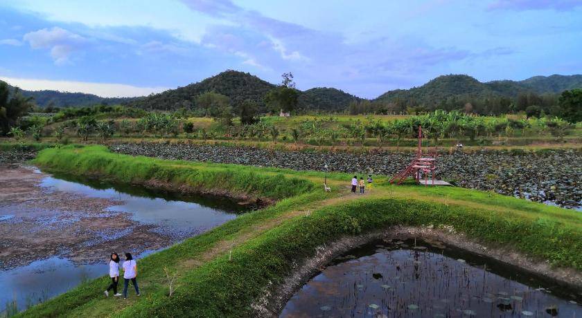 Photo of Others in Nong Ya Plong