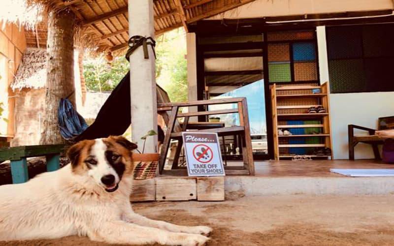 Photo of Others in Ko Lanta