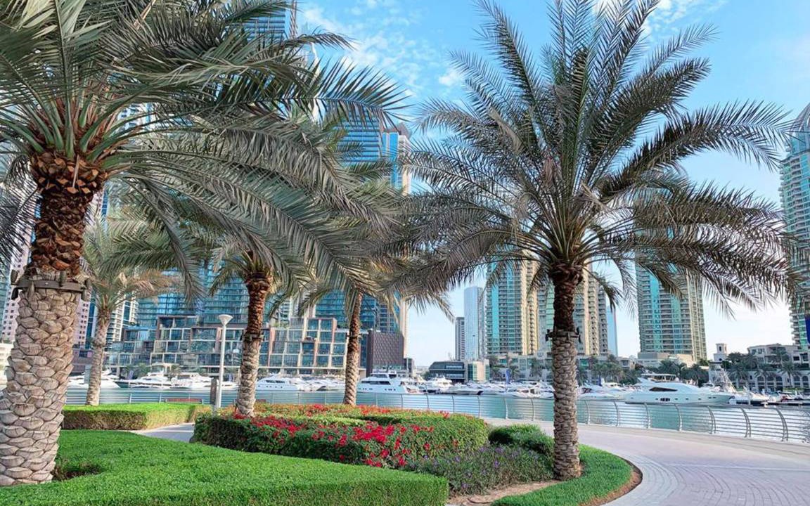 Photo of Others in Jumeira 1