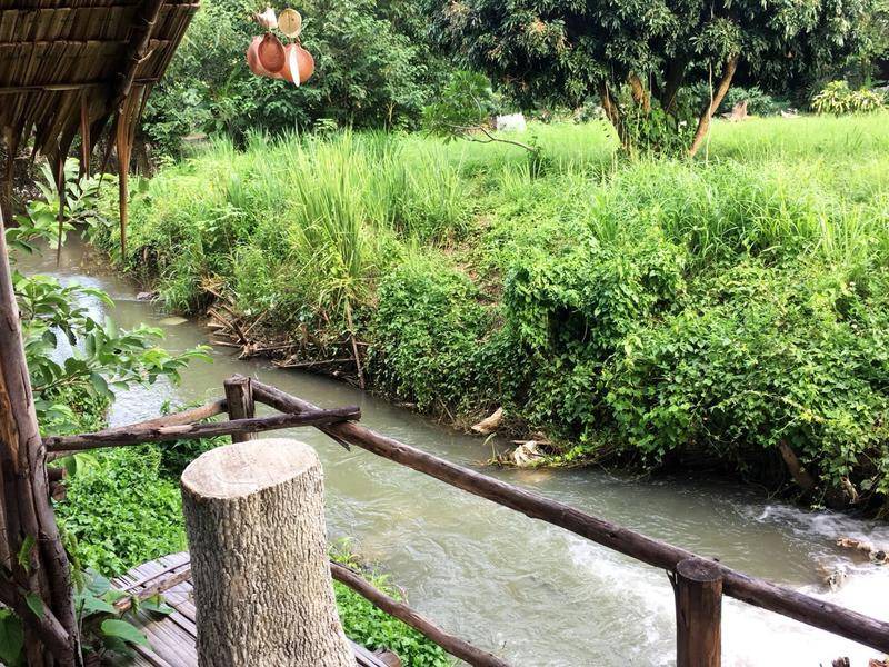 Photo of Others in Chiang Dao