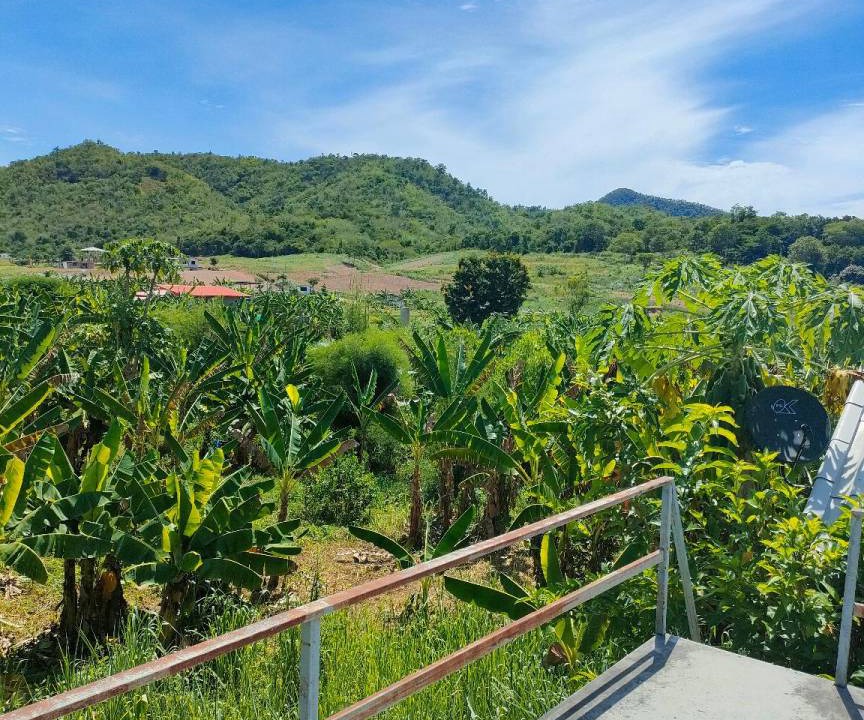 Photo of Others in Suan Phueng