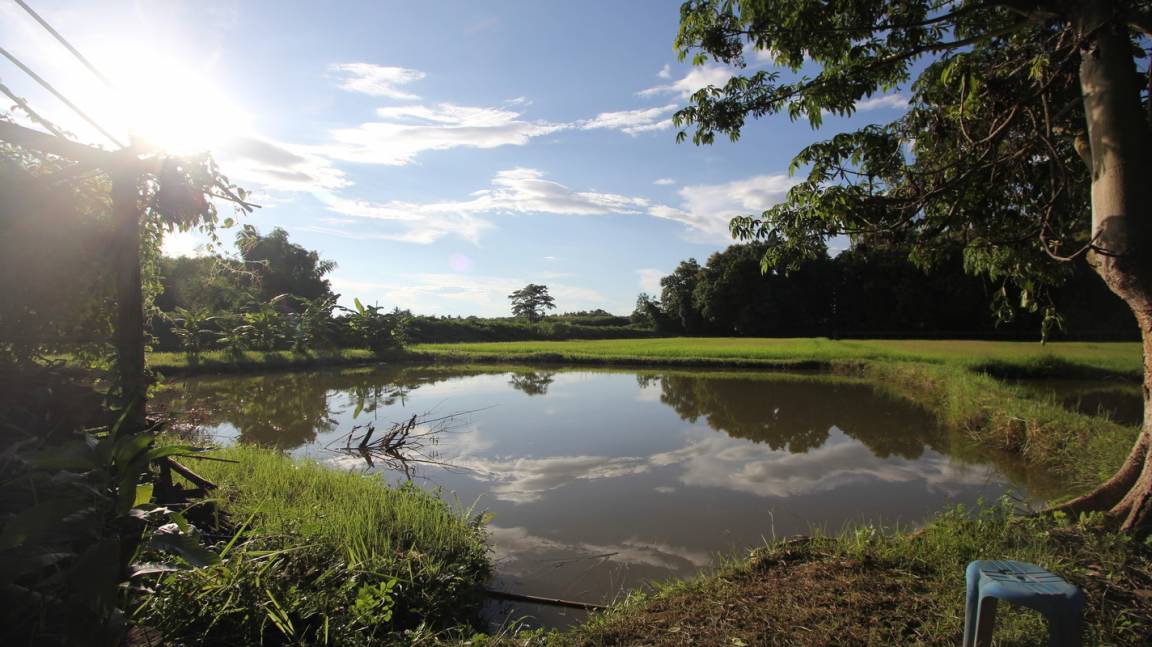 Photo of Others in Chiang Saen