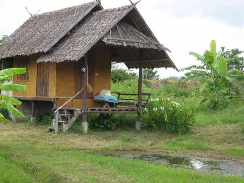 Photo of Others in Pai