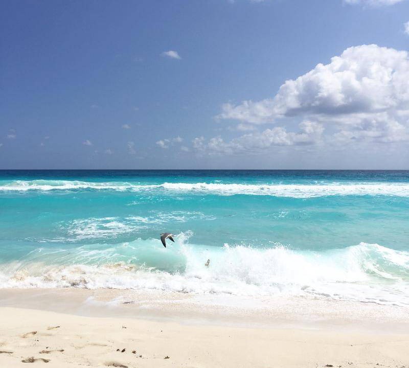 Photo of Others in Downtown Cancun