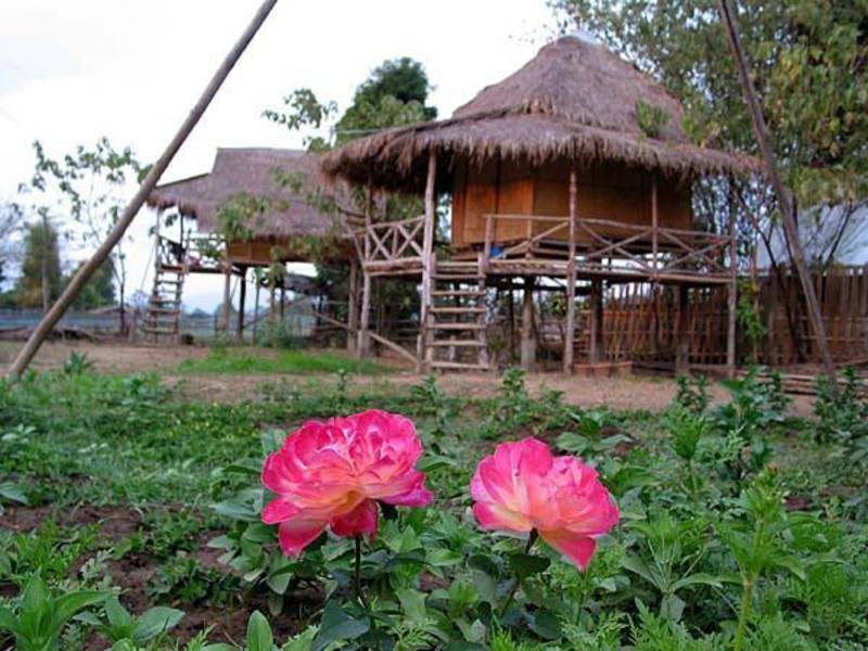 Photo of Others in Pai
