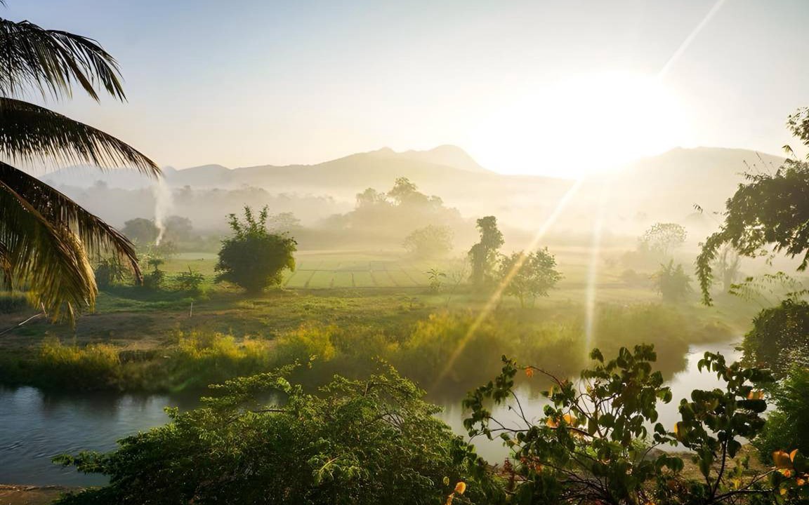 Photo of Others in Pai