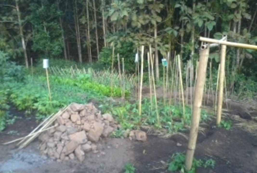 Photo of Others in Samoeng