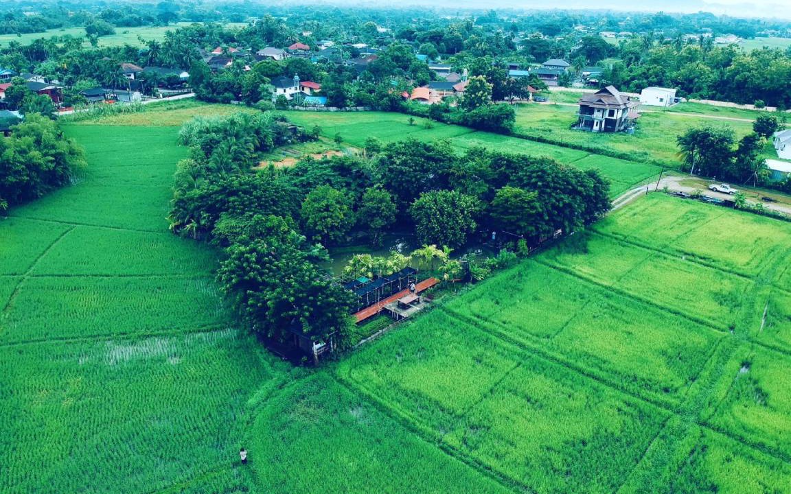 Photo of Others in San Sai