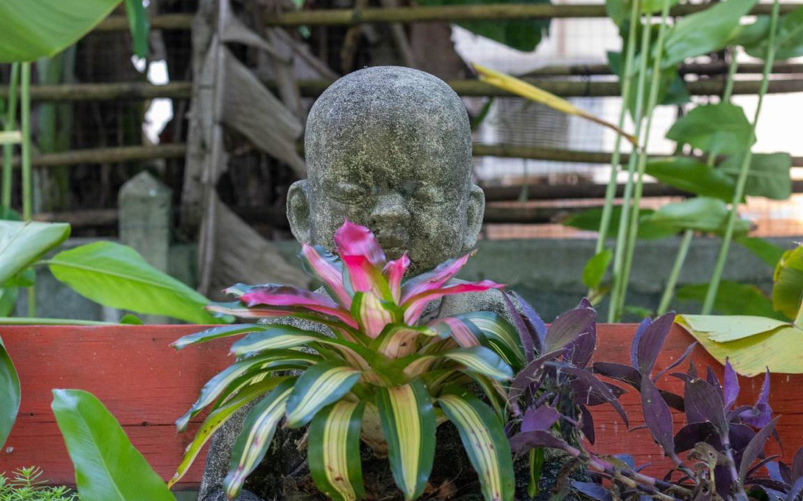 Photo of Others in Ko Chang