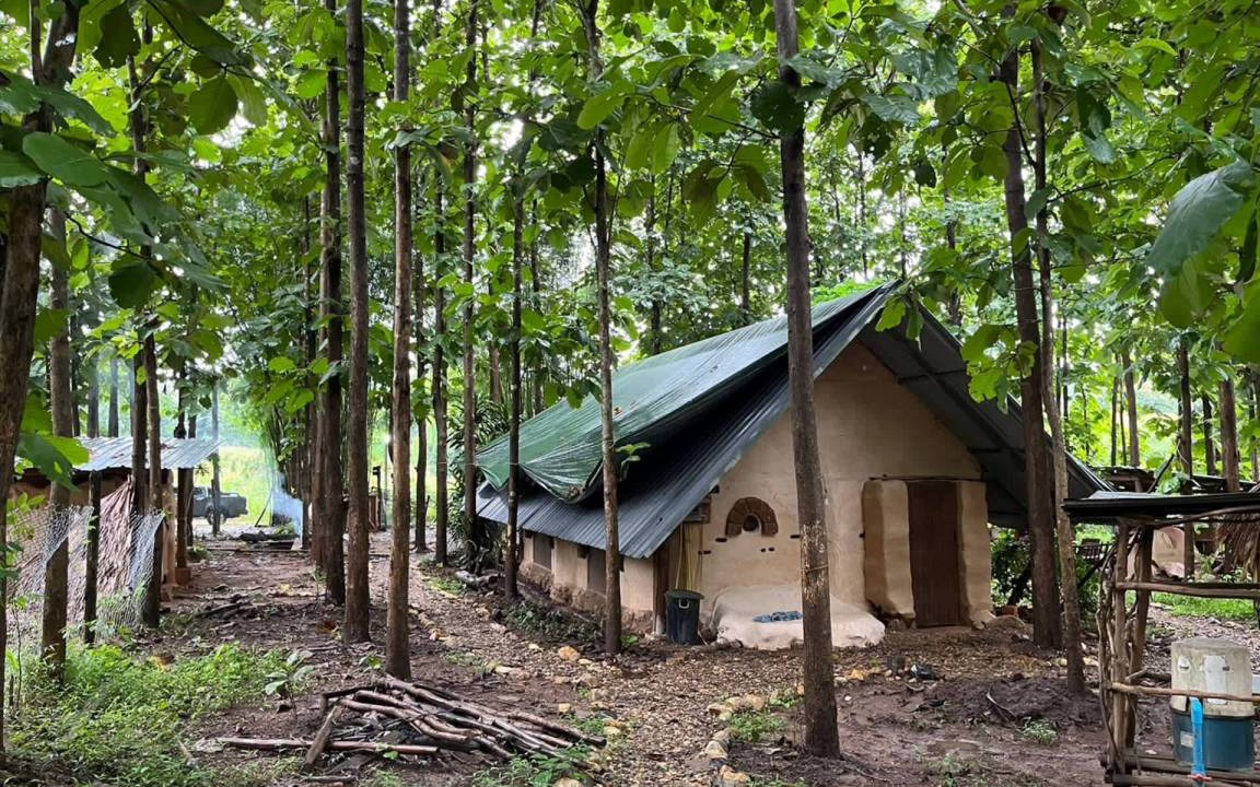 Photo of Others in Pai