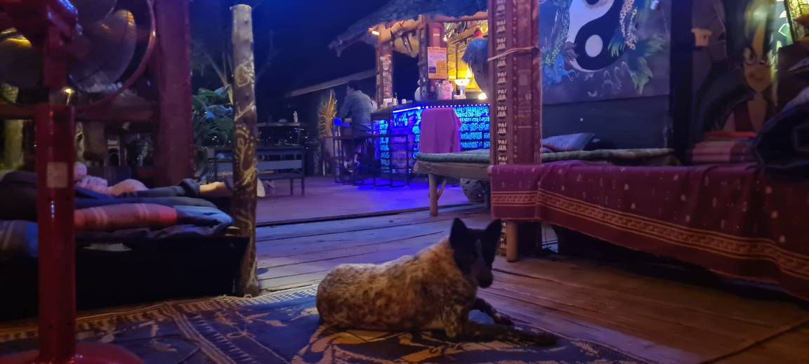 Photo of Others in Pai