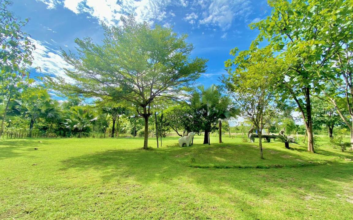 Photo of Others in Suan Phueng