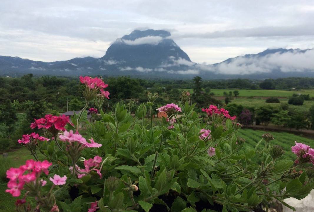 Photo of Others in Chiang Dao