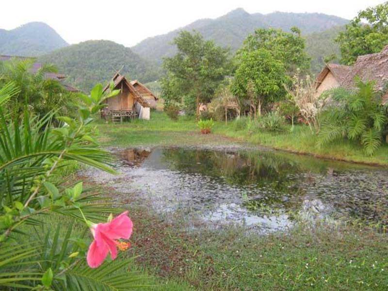 Photo of Others in Pai