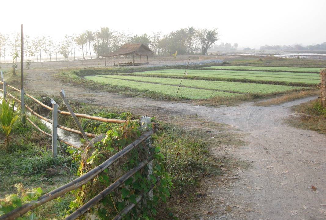 Photo of Others in Mae Pong