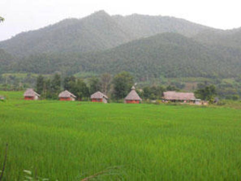 Photo of Others in Pai
