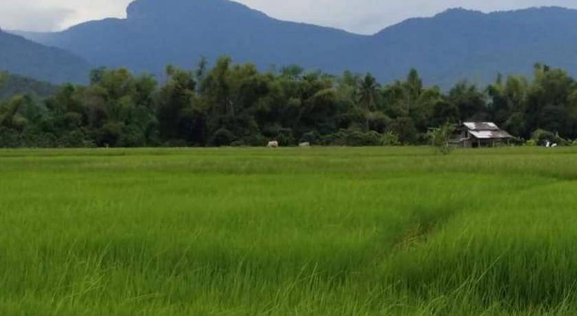 Photo of Others in Chom Thong