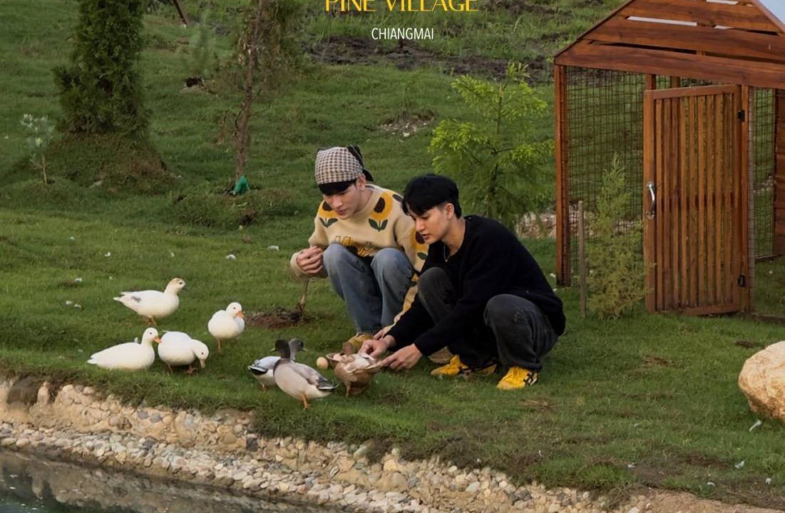 Photo of Human In Picture in Mae On