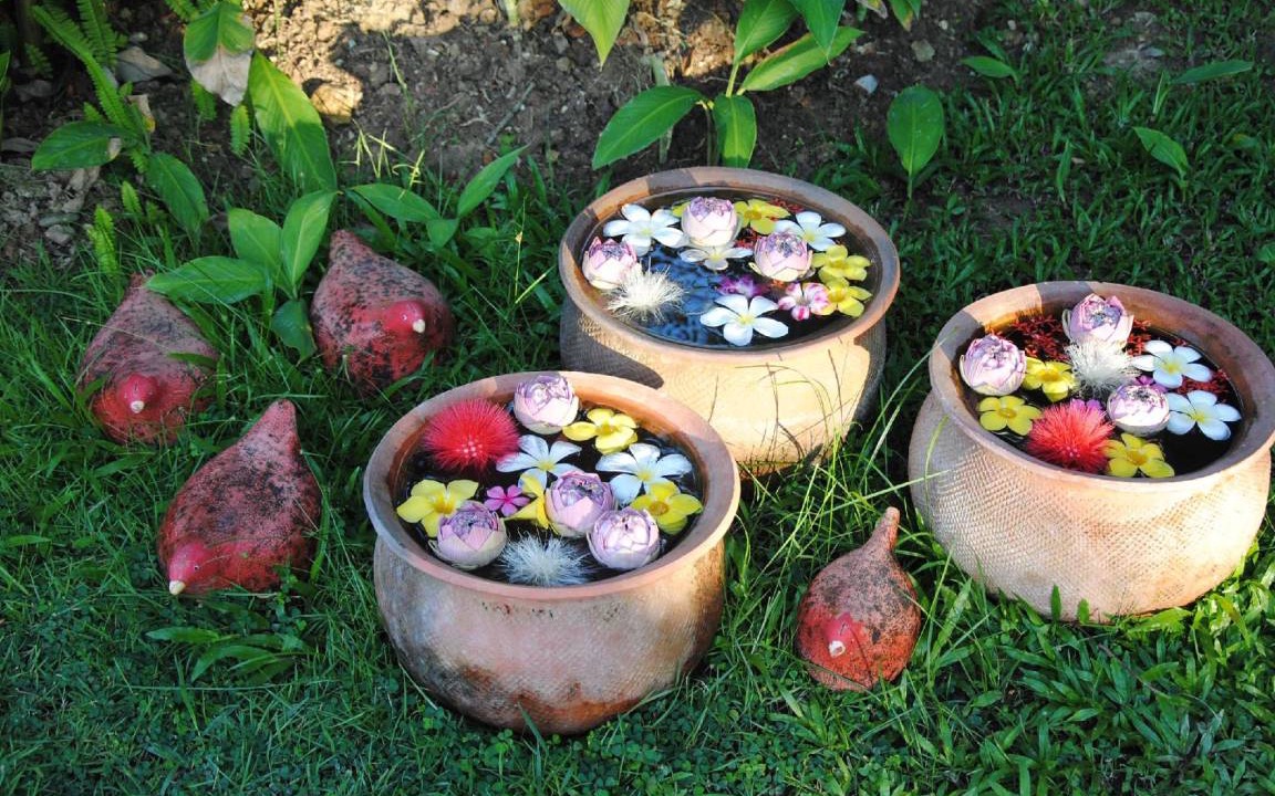 Photo of Others in Choeng Doi