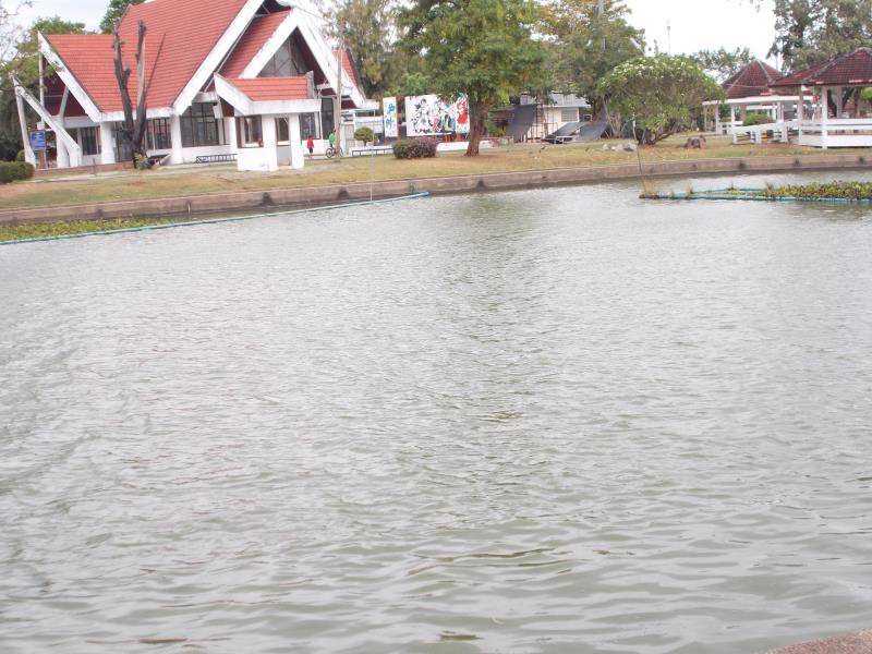 Photo of Others in Kalasin