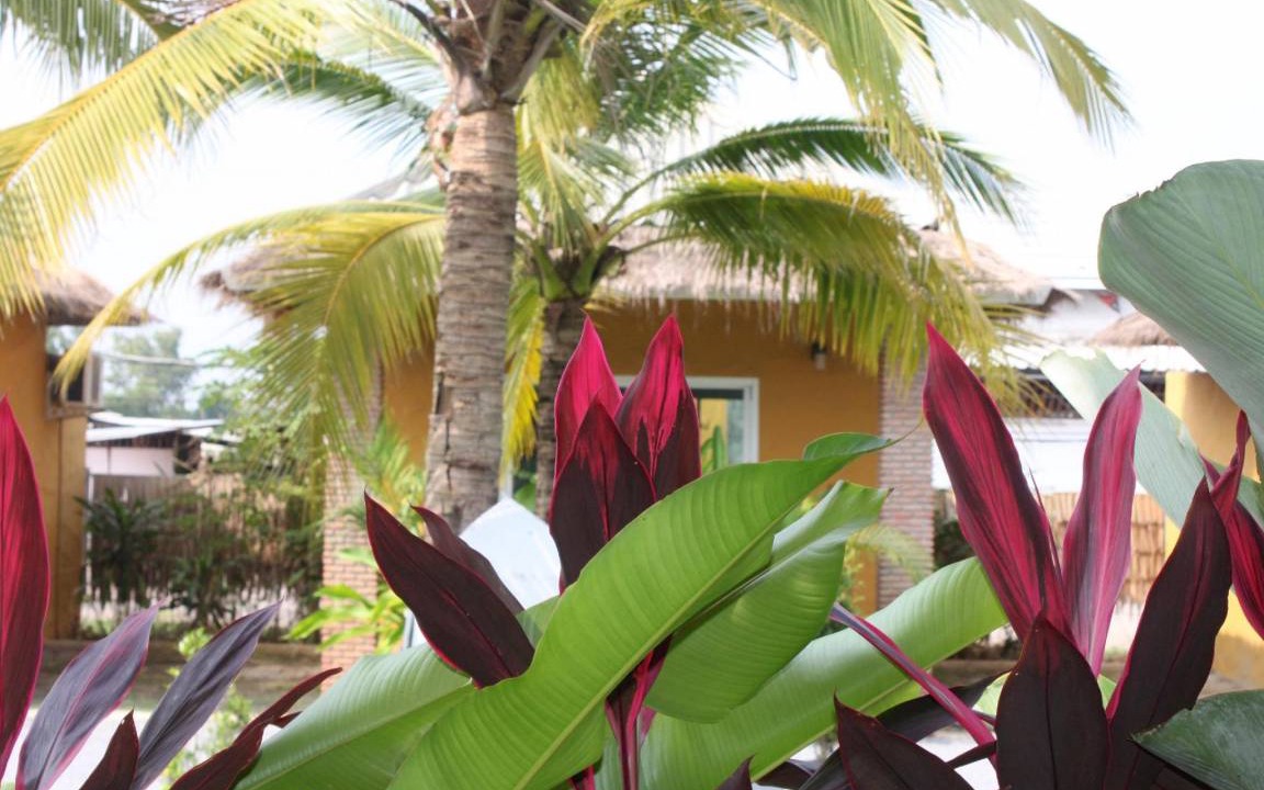 Photo of Patio Balcony in Ban Khlong Song