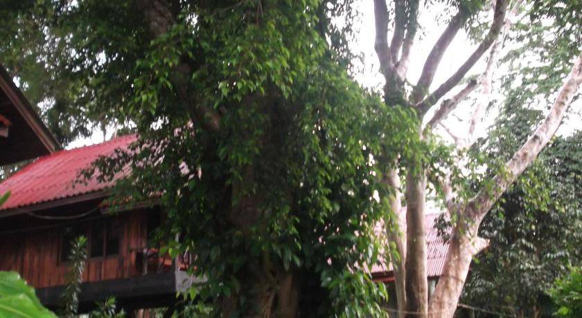 Photo of Others in Khlong Sok