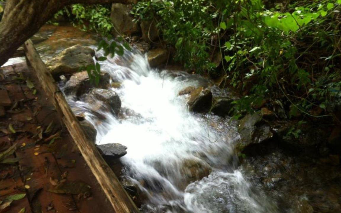 Photo of Others in Bai Lan