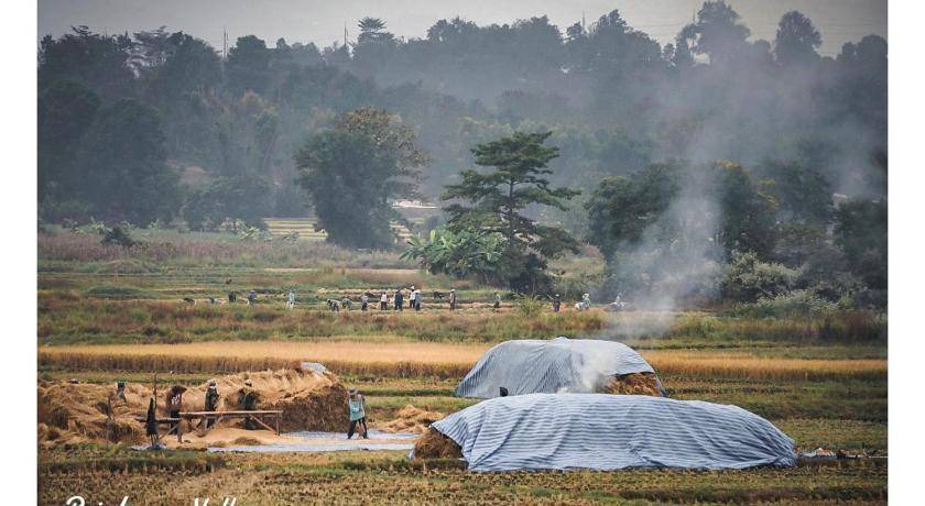 Photo of Others in Pai