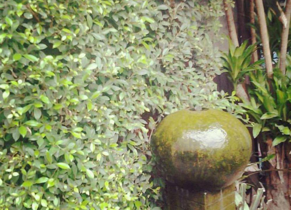 Photo of Others in Wua Lai