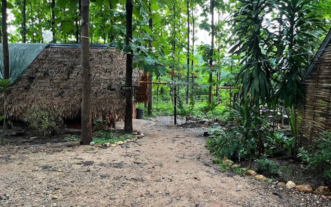 Photo of Others in Pai