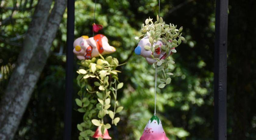 Photo of Others in Chiang Dao