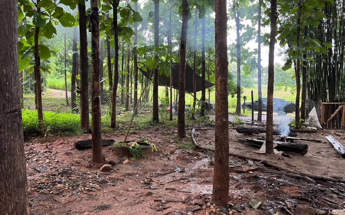 Photo of Others in Pai