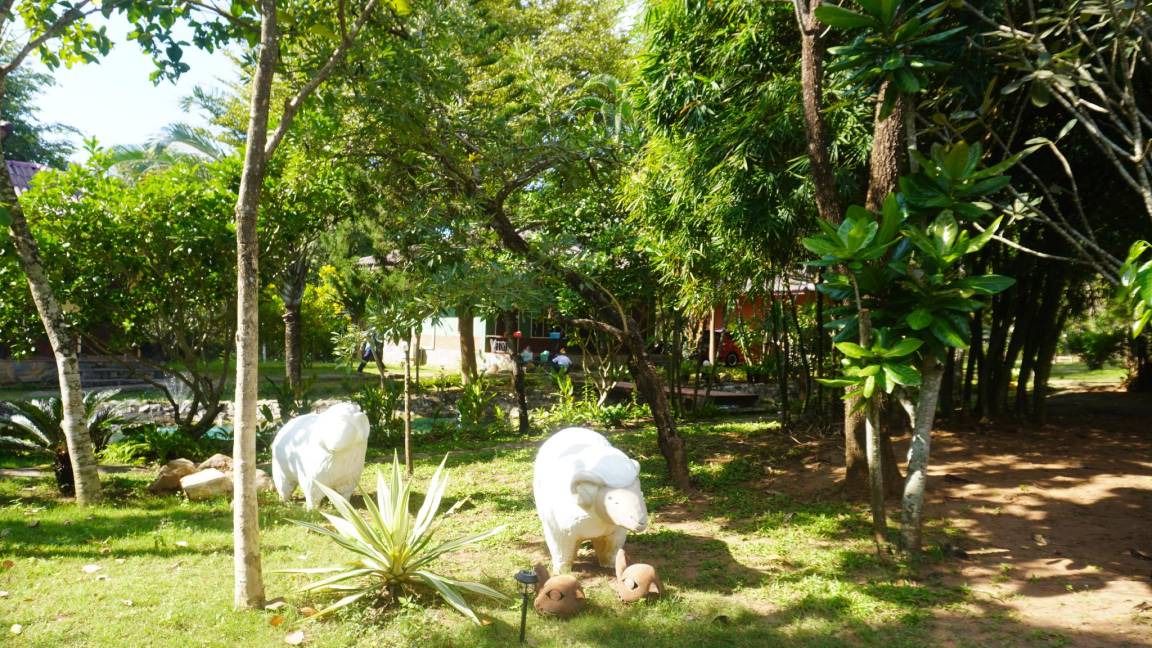 Photo of Others in Suan Phueng