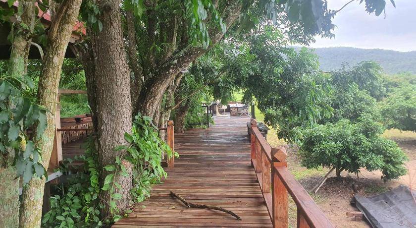 Photo of Others in Phrao