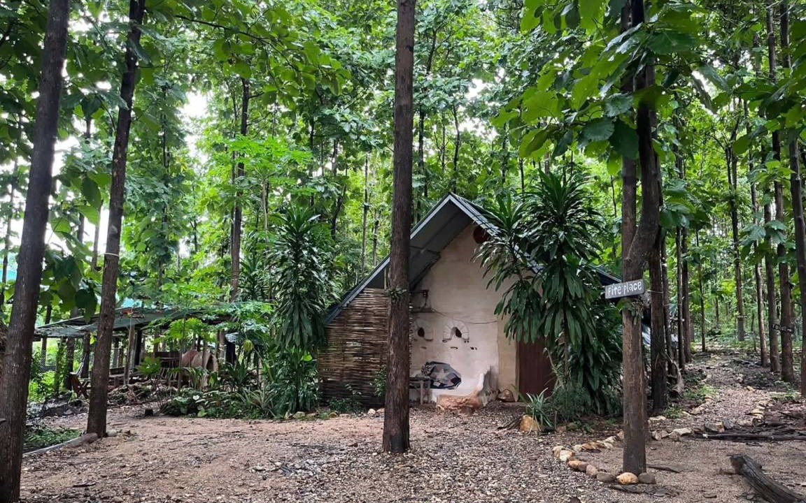 Photo of Others in Pai