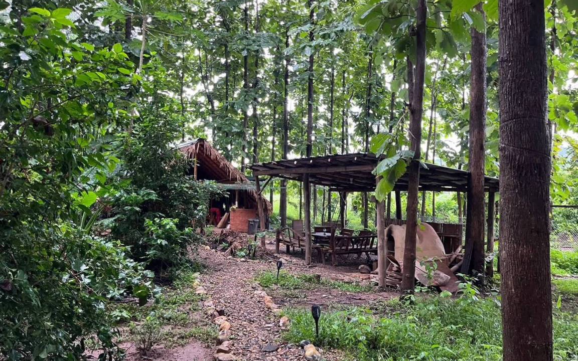 Photo of Others in Pai