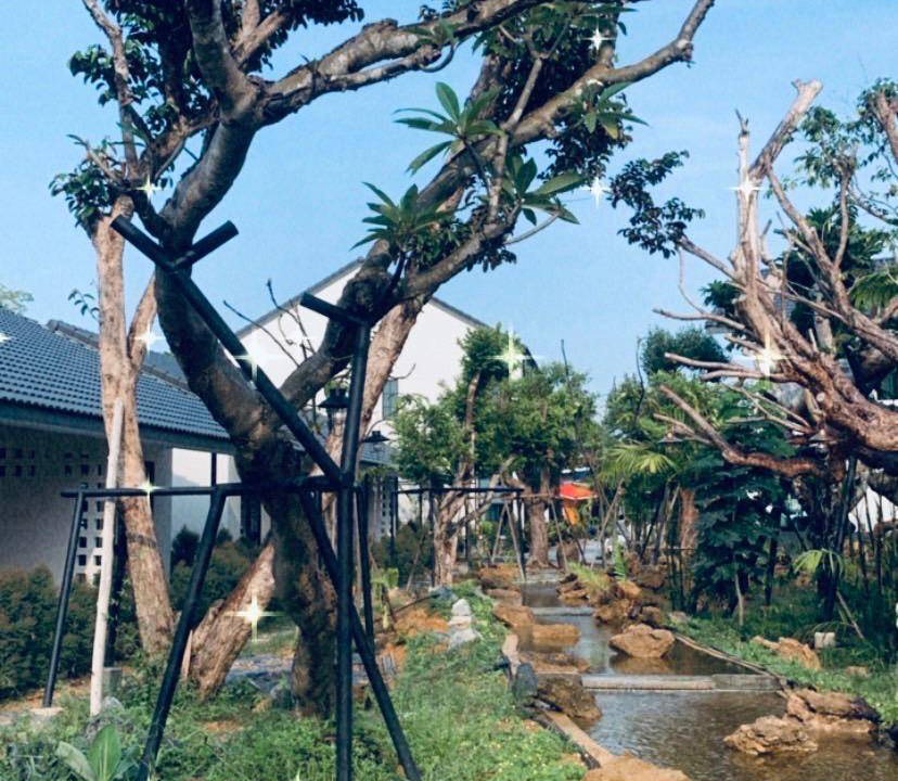 Photo of Others in Trat