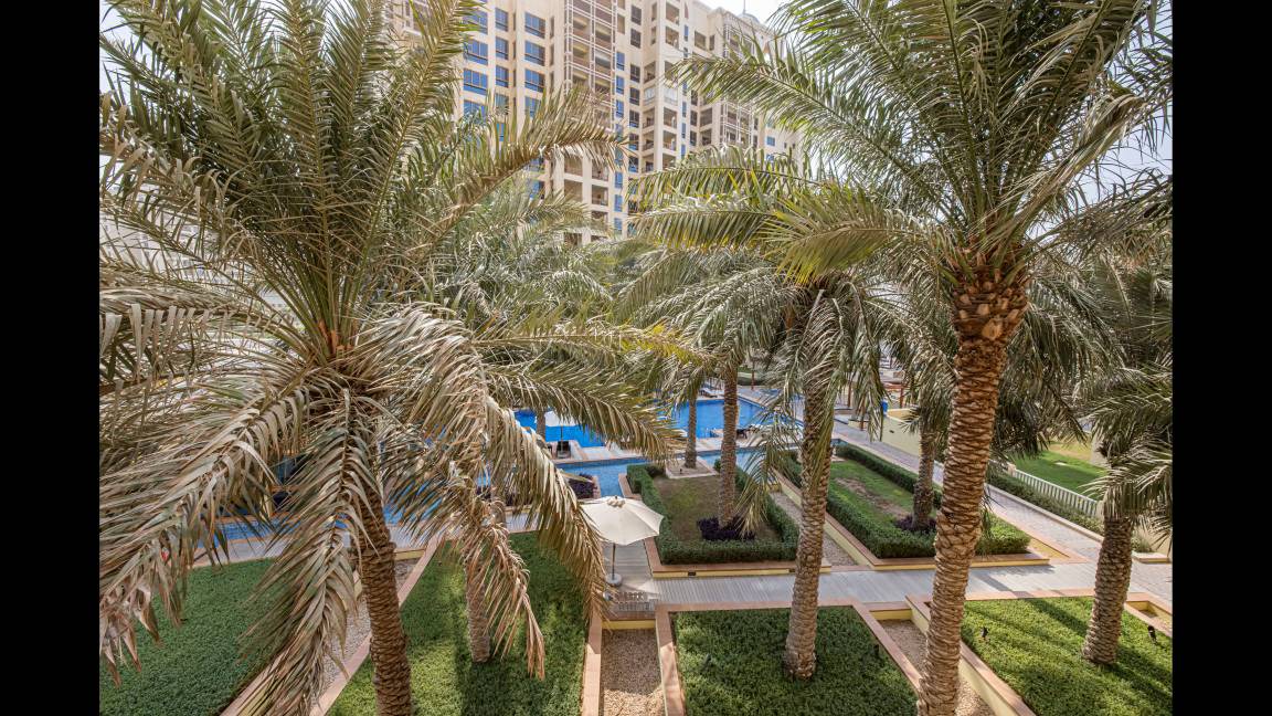 Photo of Others in Palm Jumeirah