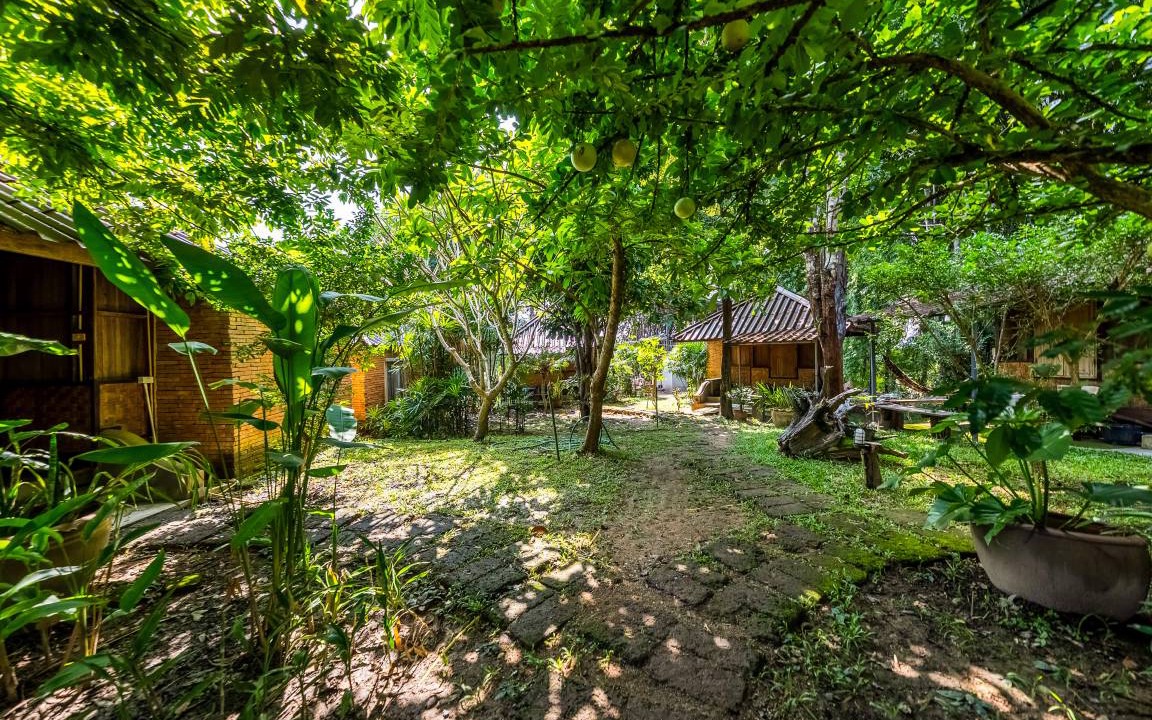 Photo of Others in Pai